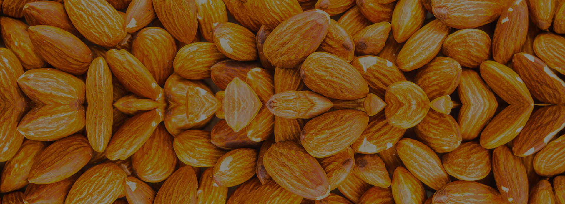 Dry Fruits