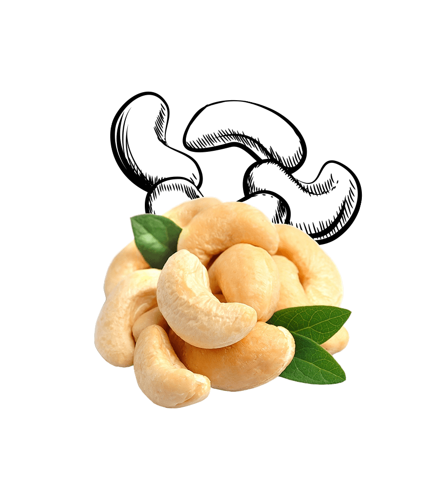 Cashew